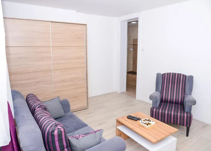 Aleksa Nest Apartamento